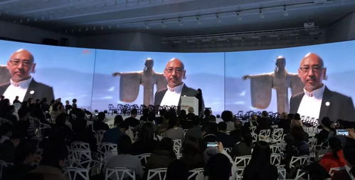 赵璐教授国际美术教育大会发表视觉传达设计创新主题演讲